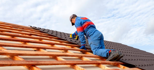 Best Skylight Installation and Repair  in Diablo Grande, CA